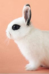 《鬼屋魔影：重制版》全新预告 热情的居民欢迎你